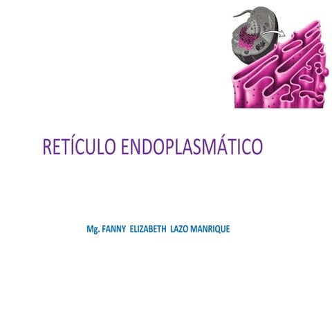 Reti. endoplasm. clase 6 | PPT