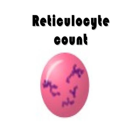 Reticulocyte count