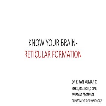 Reticular formation