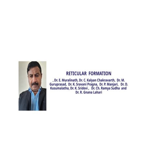 Reticular formation_nuclei_afferent_efferent