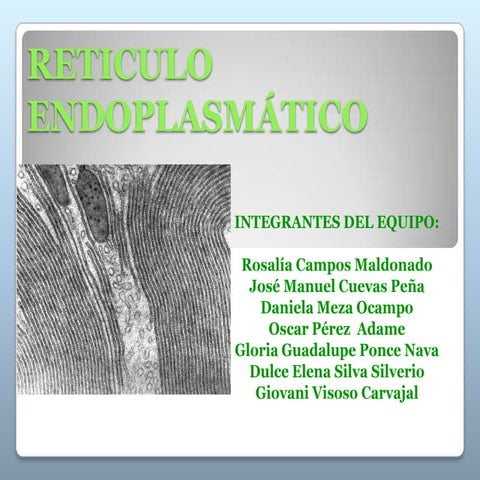 RETICULO ENDOPLASMATICO LISO Y RUGOSO_20240209_010234_0000.PDF