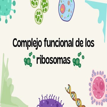 reticulo-endoplasmatico-rugoso-y-liso.pdf.pdf