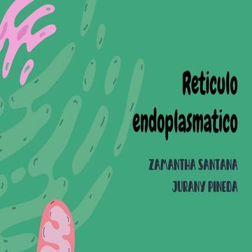 Reticulo endoplasmatico rugoso y liso- biologia | PDF