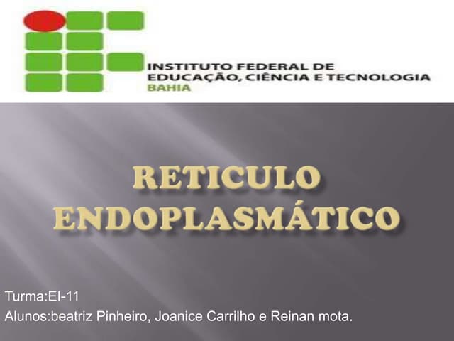 Reticulo endoplasmático