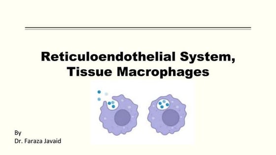 Reticuloendothelial system | PPT
