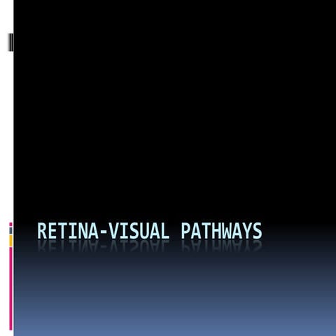 Retina and visual tract