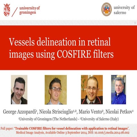 Vessels delineation in retinal  images using COSFIRE filters
