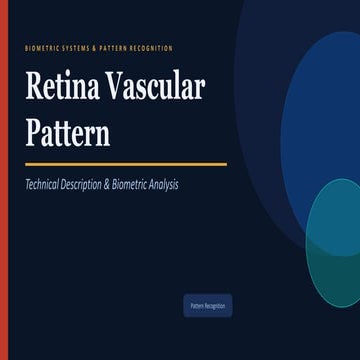 Advanced Retina Vascular Pattern Recognition in Biometrics | PDF