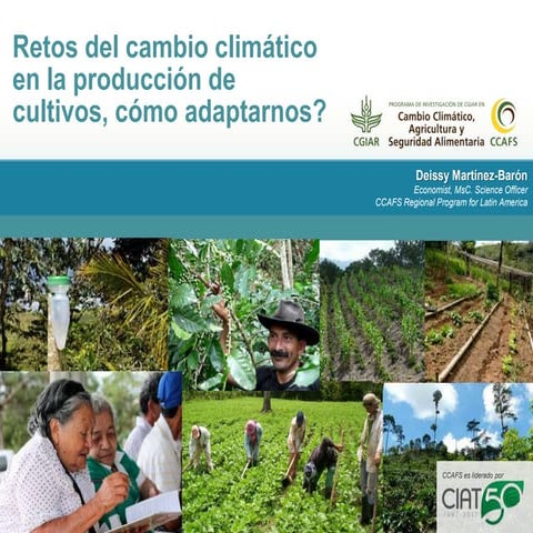 Retos del cambio climático en la producción de cultivos, cómo adaptarnos?