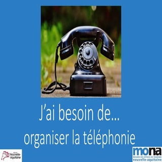 Retours d’expérience : la téléphoni...