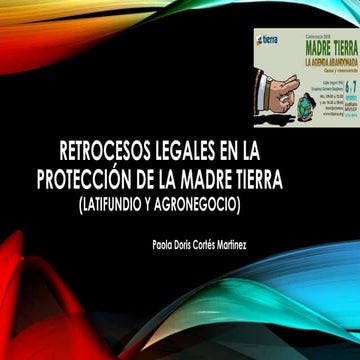 Retrocesos legales en la protección de la Madre Tierra