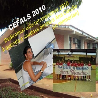 Retrospectiva 2010
