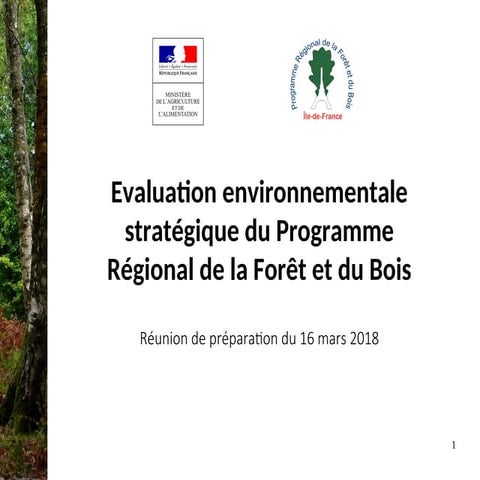 Reunion_IAU-160318_cle852294 master 2.ppt