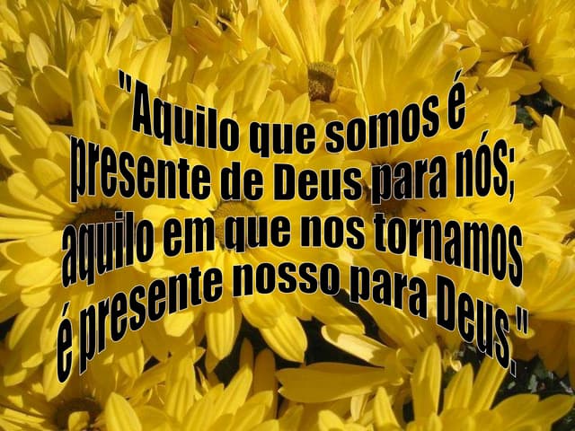 Reunião Pedagógica - E.M. Norma Sue...