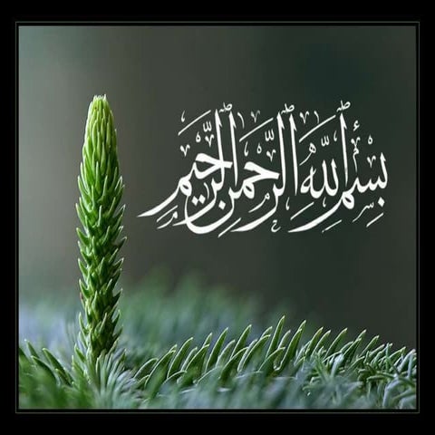 Revenue presentation