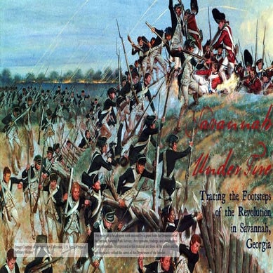 Savannah Under Fire Brochure