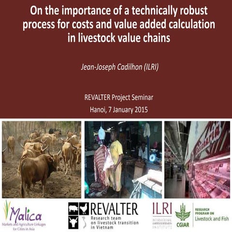 Costs and value added calculation in livestock value chains—A technically rob...