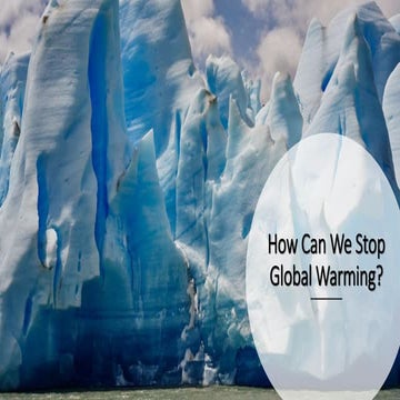 How Can We Stop Global Warming?