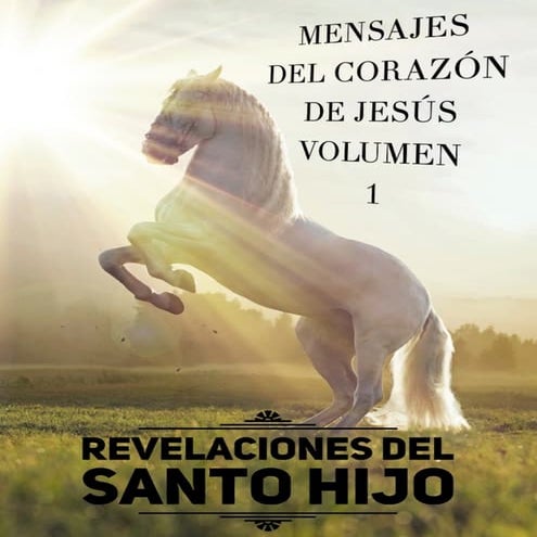 Revelaciones del santo hijo   volumen 1