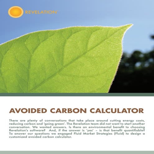 Revelation carboncalculator 2010