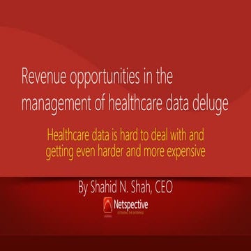 Revenue opportunities in the management of healthcare data deluge