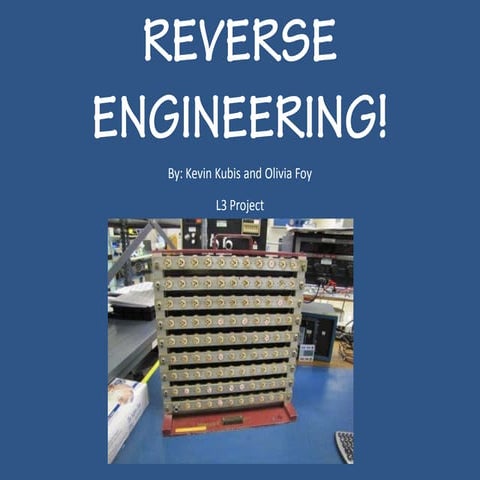 Reverse Engineering Project | PDF