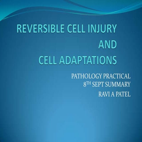 Reversible Cell Injury