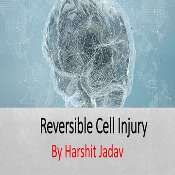 Reversible cell injury I Pathology