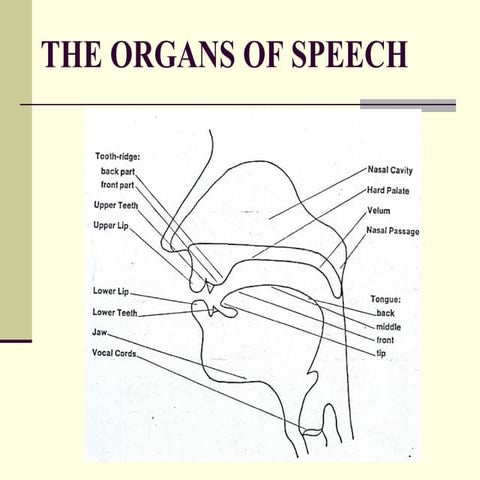 Phonetics | ODP
