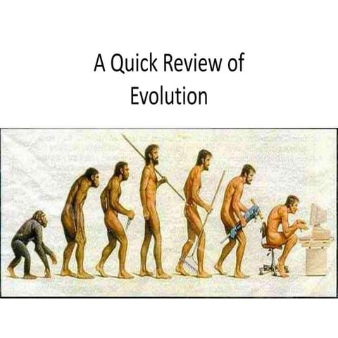 Review organic evolution