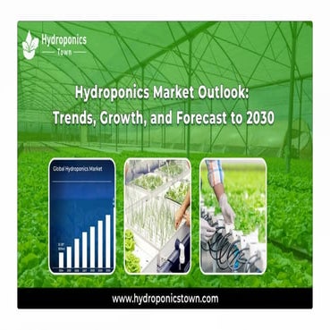 The Market Outlook for hydroponics: trends, growth, and forecasts until 2030