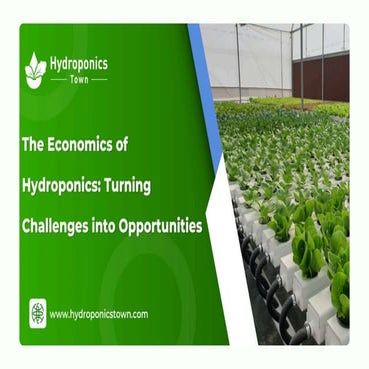 Hydroponics Economics: Transforming Challenges into Profit Opportunities