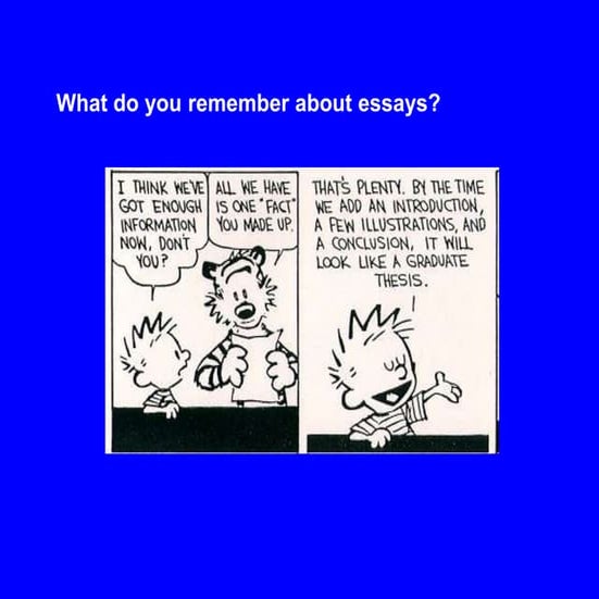 Reviewing the essay