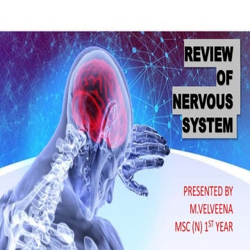 Overview of nervous system,mental health