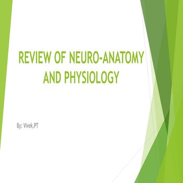 NEUROANATOMY REVIEW BOOK PDF intelligence overview