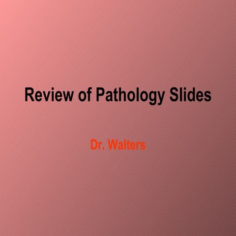 Review of pathology slides