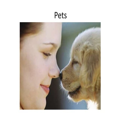 What is a pet | PPTX