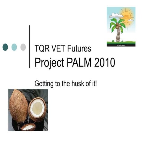 Review tqr project_palm_vetfutures2010