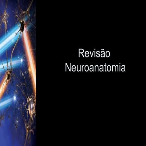 Aula de Revisão - Neuroanatomia