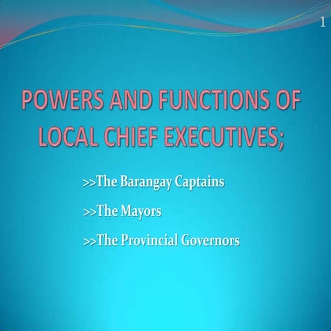  Local Chief Executives