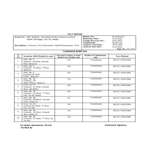 Revised-Carbonation (1).docx