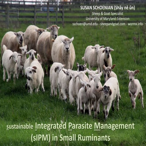 Sustainable Integrated Parasite Management