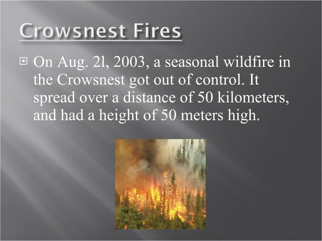 Revised Powerpoint