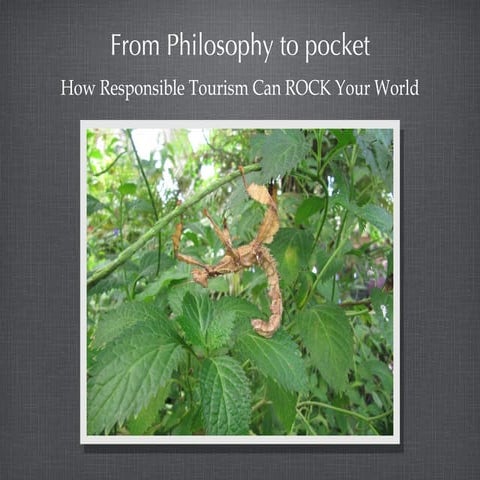 From Philosophy to Pocket: How RT can ROCK your world