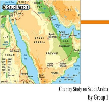 world business environment of saudi arabia