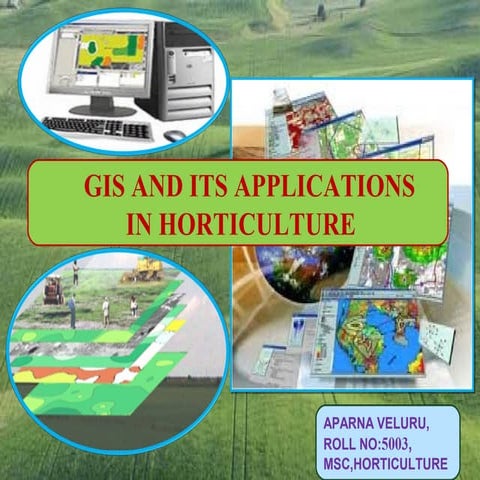 Geographical information system and its application in horticulture
