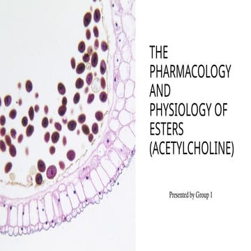 PHYSIOLOGY AND PHARMACOLOGY OF ESTERS ACETYLCHOLINE
