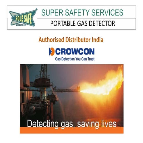 Portable Gas Detector