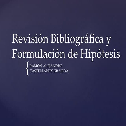Revisión bibliográfica y formulación de hipótesis