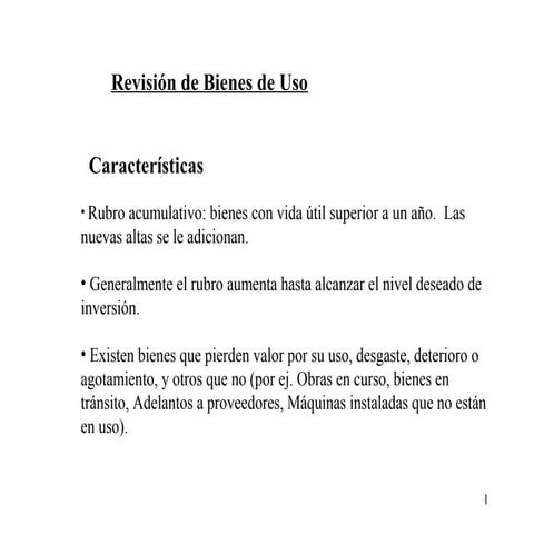 Revision bienes de_uso